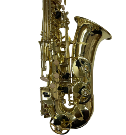 rajmusical.com